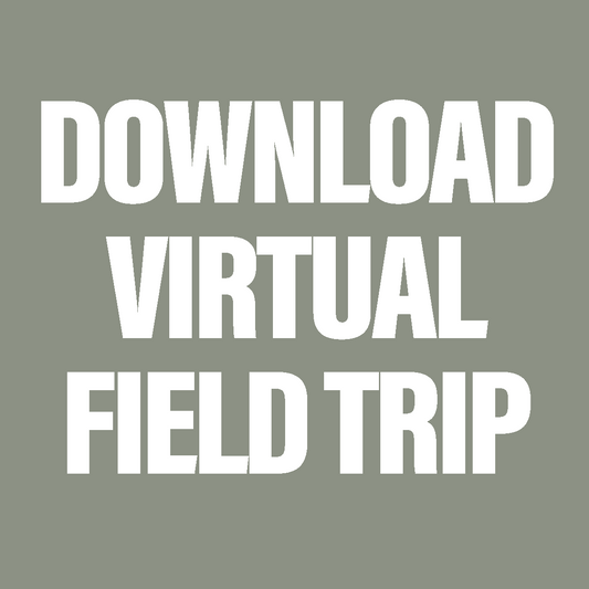 Downloadable Virtual Field Trip: Simply Country Ranch